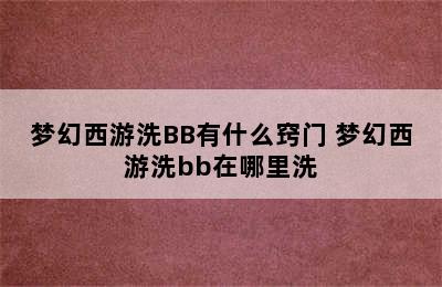 梦幻西游洗BB有什么窍门 梦幻西游洗bb在哪里洗